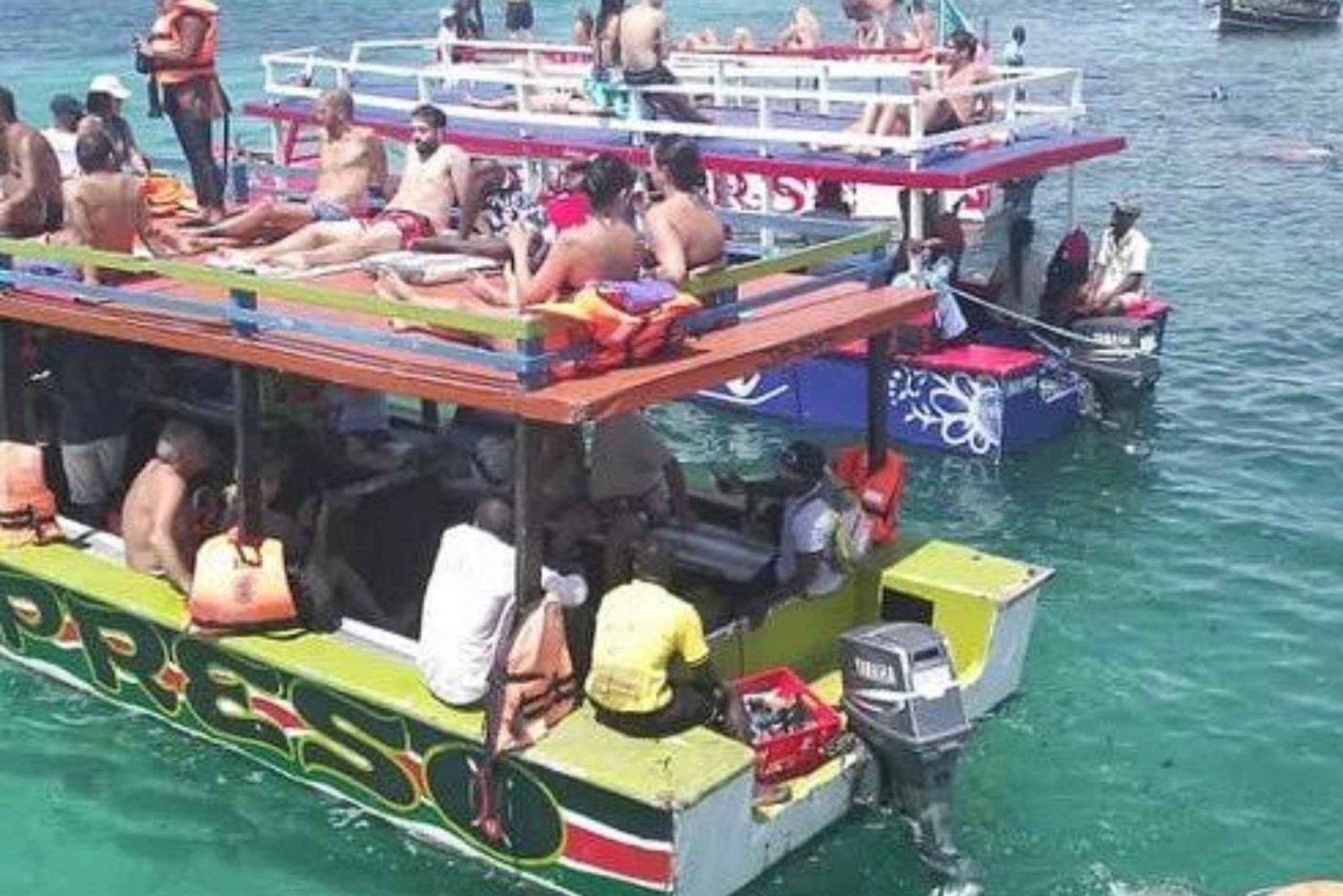 WATAMU,Snorkeling/observação de golfinhos,marisco,cruzeiro no riacho Mida