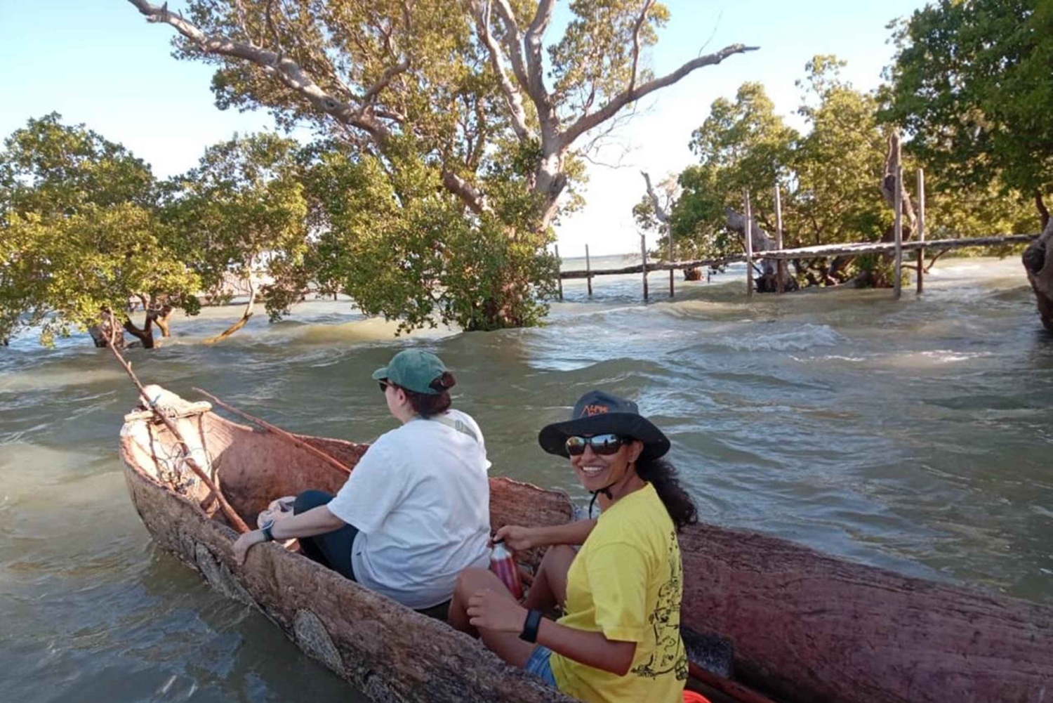 Ватаму: закатная прогулка на каноэ по мангровым зарослям с кокосовым напитком