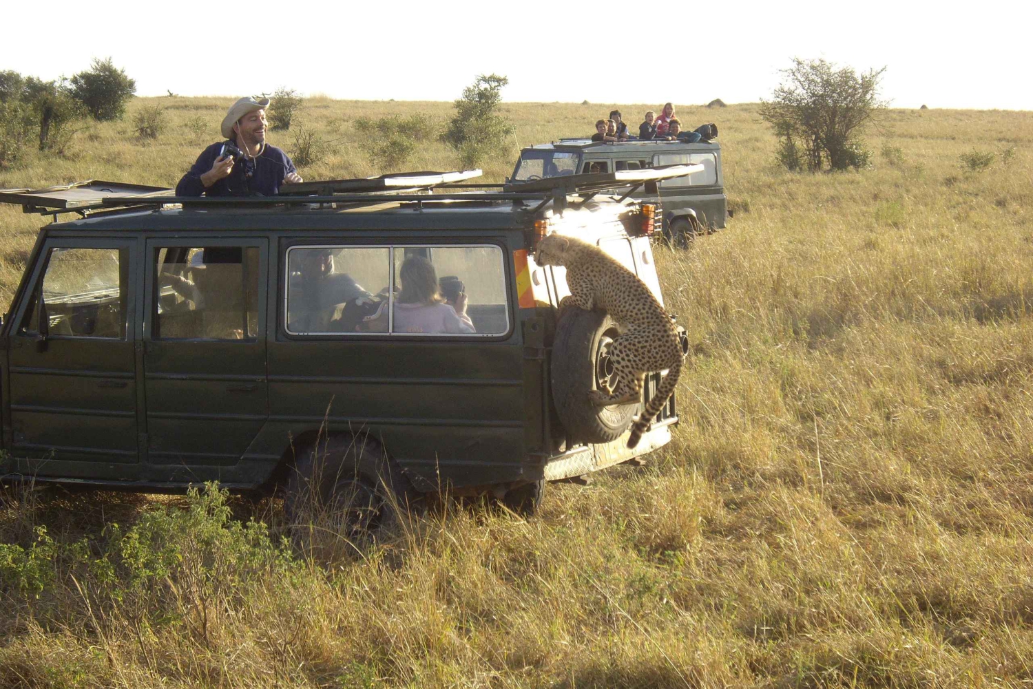 Wild Kenya Safari Explore Amboseli, Tsavo West & East 4 Days