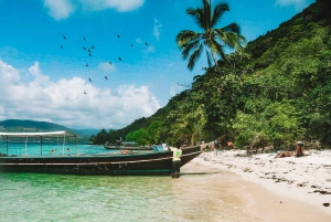 Koh Samui: Island Hopping Adventure in Coral and Pig Island