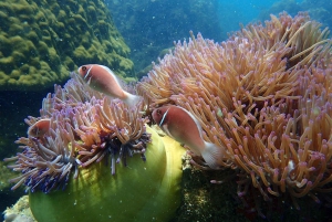 Mu Ko Ang Thong Park: Semi-private Sunset Cruise Tour