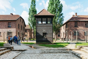 Z Krakowa: Wycieczka z przewodnikiem do Auschwitz-Birkenau i odbiór z hotelu