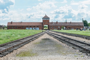 From Krakow: Auschwitz-Birkenau Guided Tour & Pickup Options