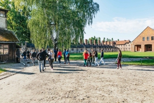 From Krakow: Auschwitz-Birkenau Guided Tour & Pickup Options