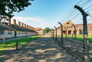 From Krakow: Auschwitz-Birkenau Guided Tour & Pickup Options