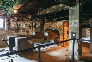 From Krakow: Auschwitz-Birkenau Guided Tour & Pickup Options