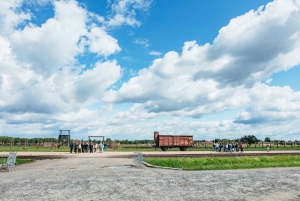 From Krakow: Auschwitz-Birkenau Guided Tour & Pickup Options