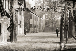 From Krakow: Auschwitz & Wieliczka Salt Mine Guided Tour