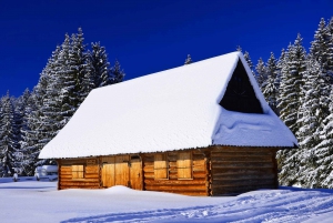 From Krakow: Hot Springs and Zakopane with Gubałówka