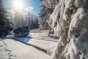 From Krakow: Zakopane and Thermal Springs with Hotel Pickup