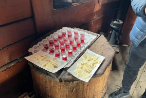 From Kraków: Zakopane Day Tour and Optional Thermal Bath