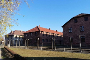 From Warsaw: Auschwitz-Birkenau Tour with Private Transfer