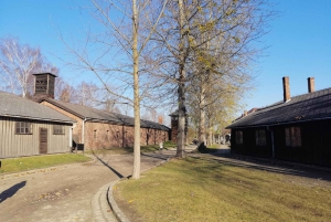 From Warsaw: Auschwitz-Birkenau Tour with Private Transfer