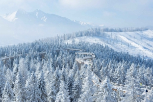 Krakow: Mountain Treetop Walk & Zakopane Day Trip