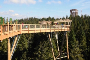 Krakow: Mountain Treetop Walk & Zakopane Day Trip
