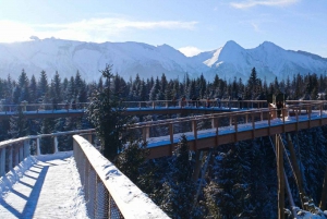 Krakow: Mountain Treetop Walk & Zakopane Day Trip