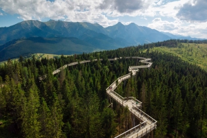 Krakow: Mountain Treetop Walk & Zakopane Day Trip
