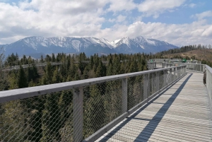 Krakow: Mountain Treetop Walk & Zakopane Day Trip