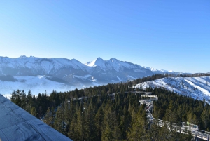 Krakow: Mountain Treetop Walk & Zakopane Day Trip