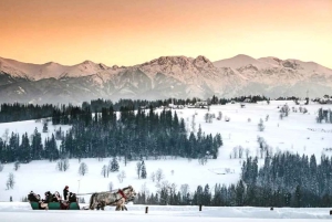 Krakow: Zakopane Tour, Hot Springs, Cable Car, Cheese &Vodka