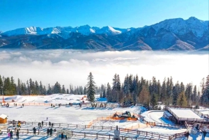 Krakow: Zakopane Tour, Hot Springs, Cable Car, Cheese &Vodka