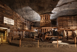 Wieliczka Salt Mine: Guided Tour