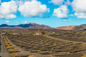 Arrecife: Timanfaya e la Laguna Verde per i passeggeri delle crociere
