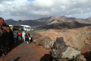 Arrecife: Timanfaya and Green Lagoon for Cruise Passengers