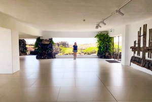 Лансароте: Наследие Сесара Манрике Экскурсия с гидом