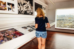 Лансароте: Наследие Сесара Манрике Экскурсия с гидом