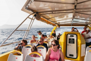 Lanzarote: 2.5-Hour Sunset and Dolphins Cruise