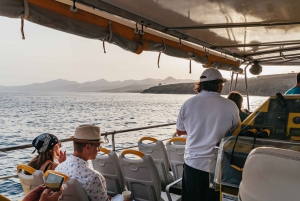 Lanzarote: 2.5-Hour Sunset and Dolphins Cruise