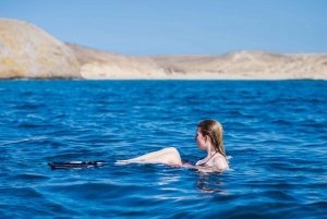 Lanzarote: Adults-Only Sailing Trip to Papagayo with Lunch
