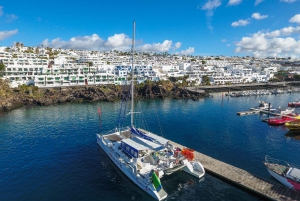 Lanzarote: Dolphin-Watching Sunset Cruise with Transfers