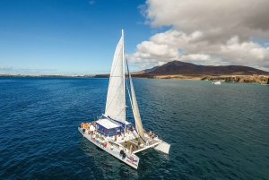 Lanzarote: Dolphin-Watching Sunset Cruise with Transfers