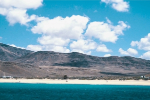 Lanzarote: Dolphin-Watching Sunset Cruise with Transfers