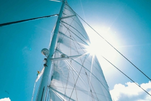 Lanzarote: Dolphin-Watching Sunset Cruise with Transfers