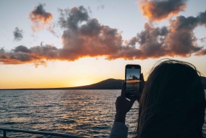 Lanzarote: Dolphin-Watching Sunset Cruise with Transfers