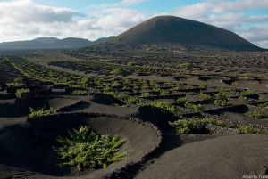 Lanzarote: een hele dag bustocht met prachtige uitzichten