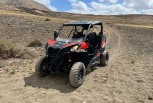 Lanzarote: tour guidato in buggy Can-Am