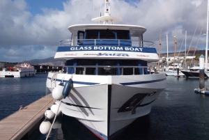 Lanzarote: Puerto del Carmen & Puerto Calero Boat Transfer