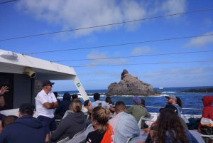 Lanzarote: Roundtrip Ferry Transfer to La Graciosa