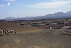 Lanzarote: Timanfaya National Park Volcanic Craters Tour