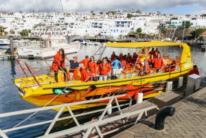 Puerto del Carmen: Dolphin-Watching Speedboat Tour with Swim