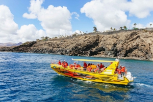 Puerto del Carmen: Dolphin-Watching Speedboat Tour with Swim