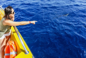 Puerto del Carmen: Dolphin-Watching Speedboat Tour with Swim