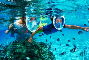 Puerto del Carmen: Dolphin-Watching Speedboat Tour with Swim