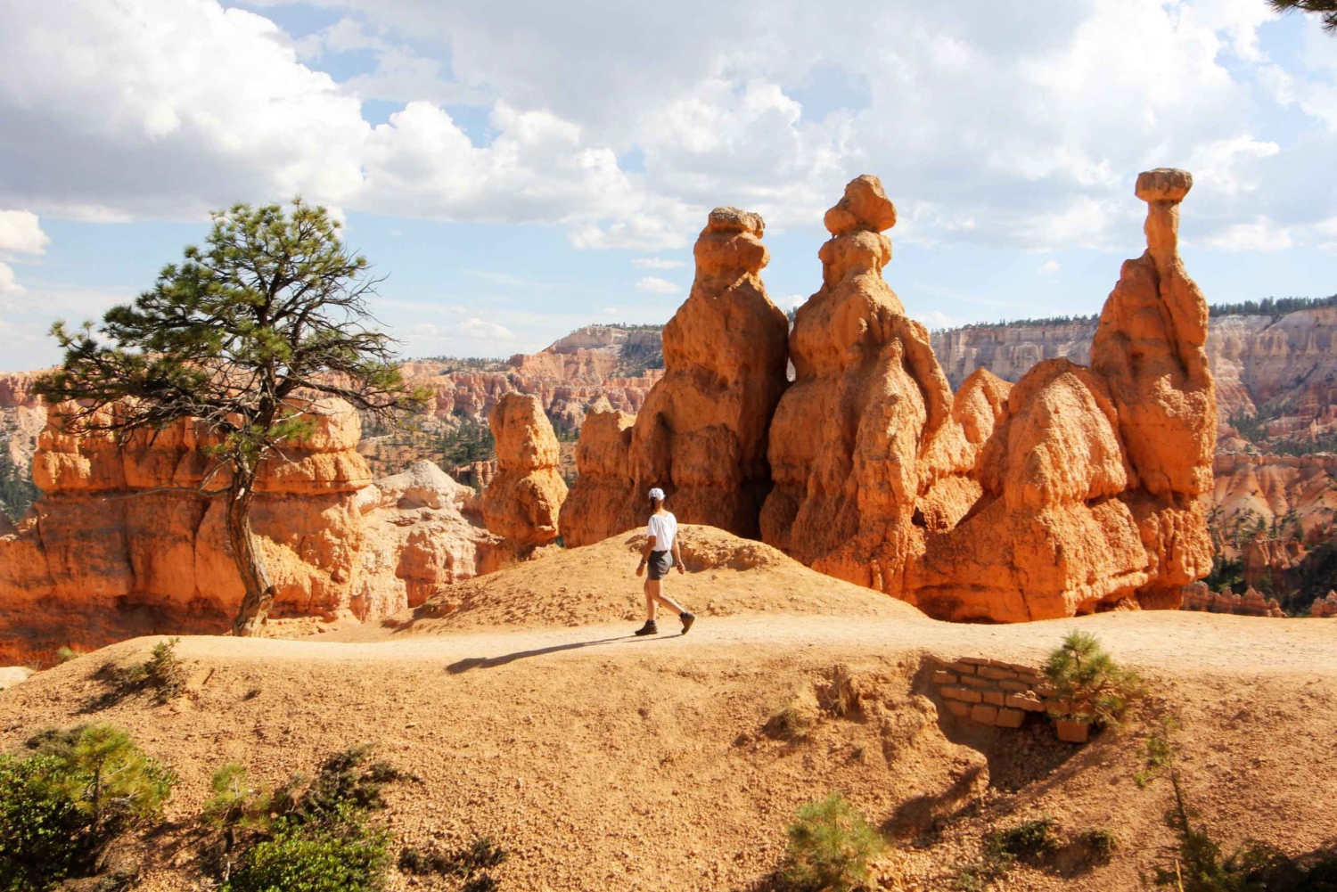 Bryce Canyon & Zion National Park: Privat grupperejse