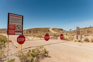 From Las Vegas: Area 51 Full-Day Tour