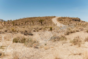 From Las Vegas: Area 51 Full-Day Tour